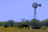 Home on the Range