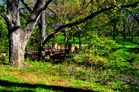 San Saba River Nature Park