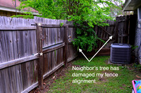 Pine Privacy Fence