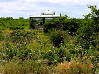 Shin Oak Observation Deck