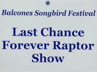 Last Chance Forever